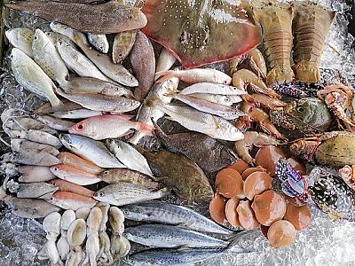 Marine Goods